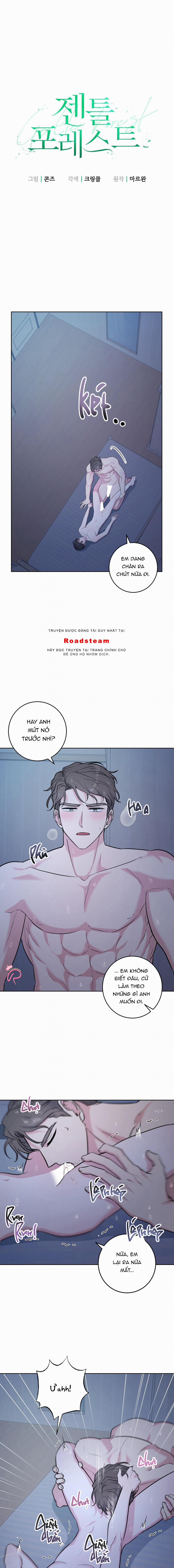 [18+] Khu Rừng Dịu Dàng 20 trang 1