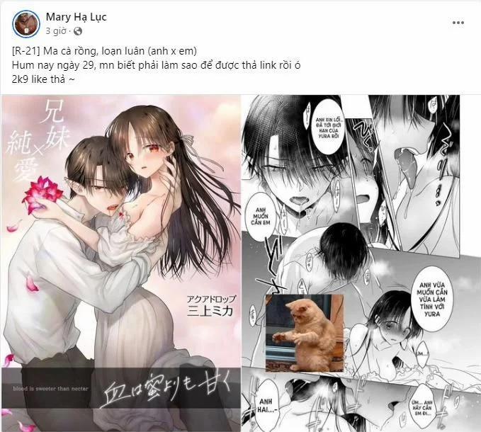 [21+] Máu Ngọt Ngào Hơn Mật Hoa 1.1 trang 0