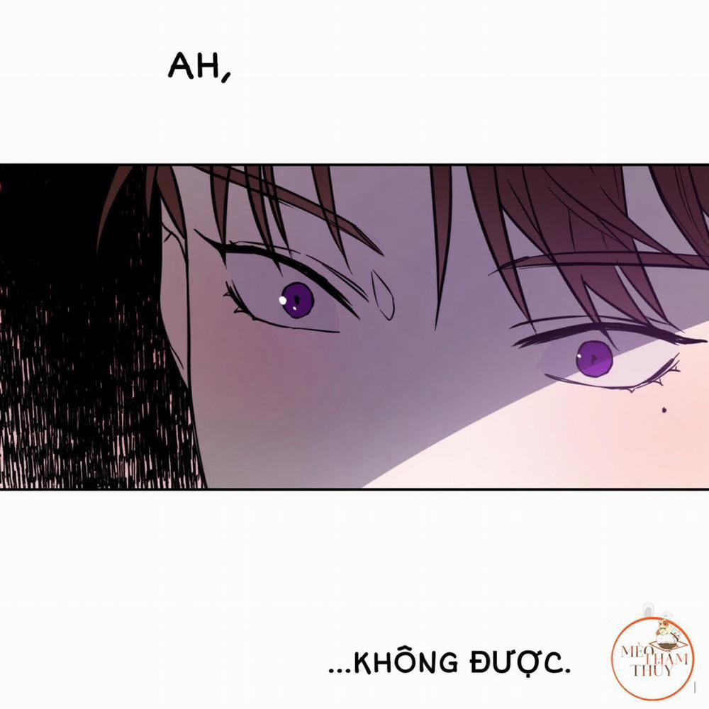 An An 14 trang 11