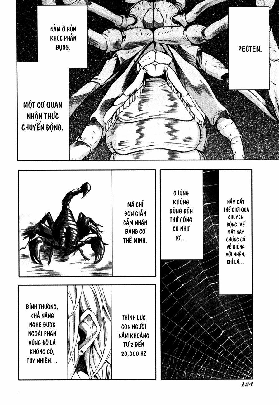 Arachnid 29 trang 15