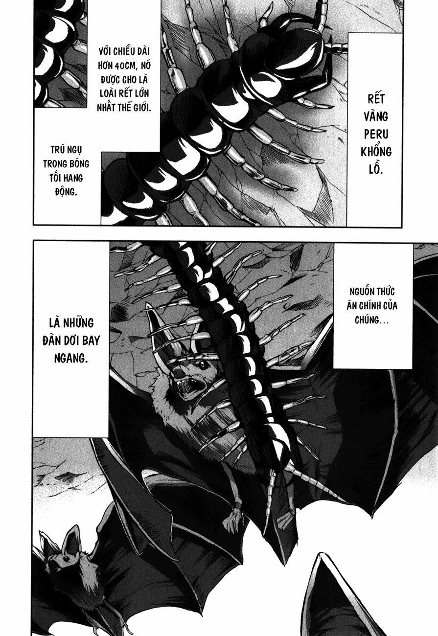 Arachnid 29 trang 7