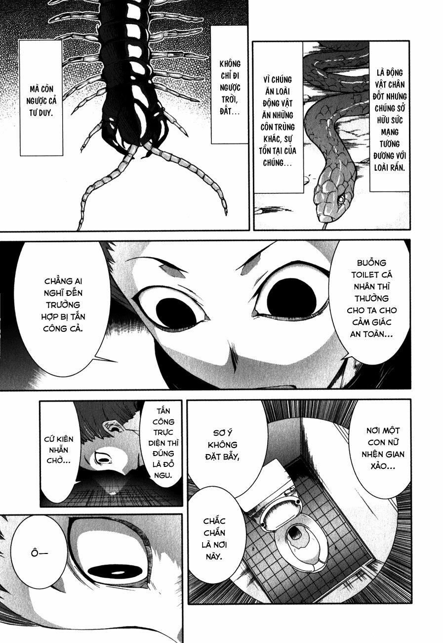Arachnid 29 trang 8