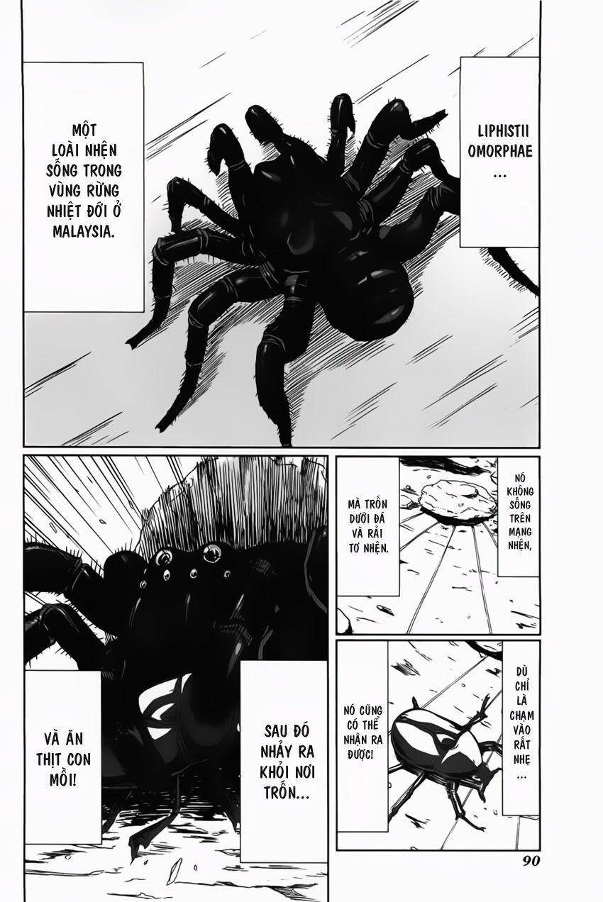 Arachnid 3 trang 1