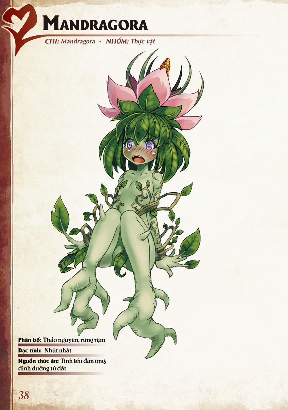 Bách khoa toàn thư Monster Girl 0 Mandragora trang 0