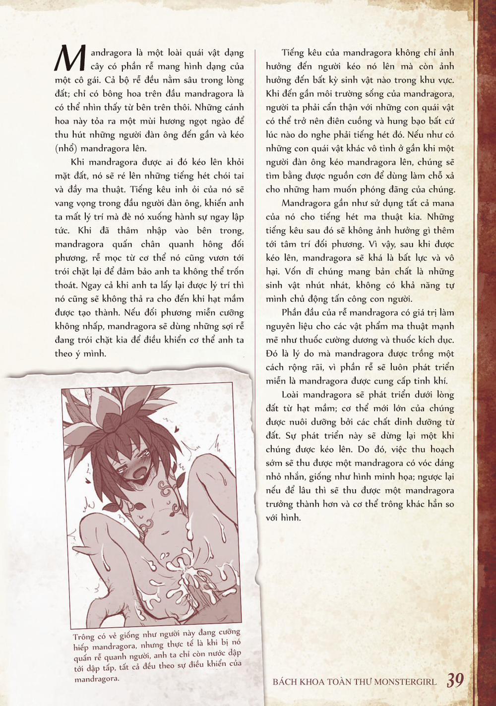 Bách khoa toàn thư Monster Girl 0 Mandragora trang 1