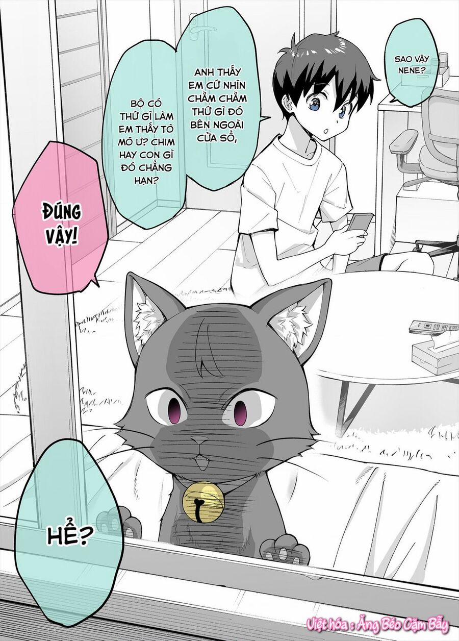 Bé Mèo Yandere Của Tôi Yêu Tôi Rất Nhiều 2 trang 0