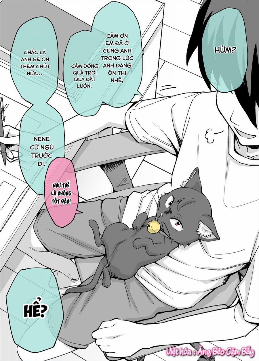 Bé Mèo Yandere Của Tôi Yêu Tôi Rất Nhiều 3 trang 0