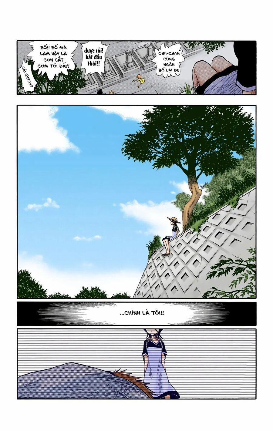 Bleach (Full Color) 19 trang 1