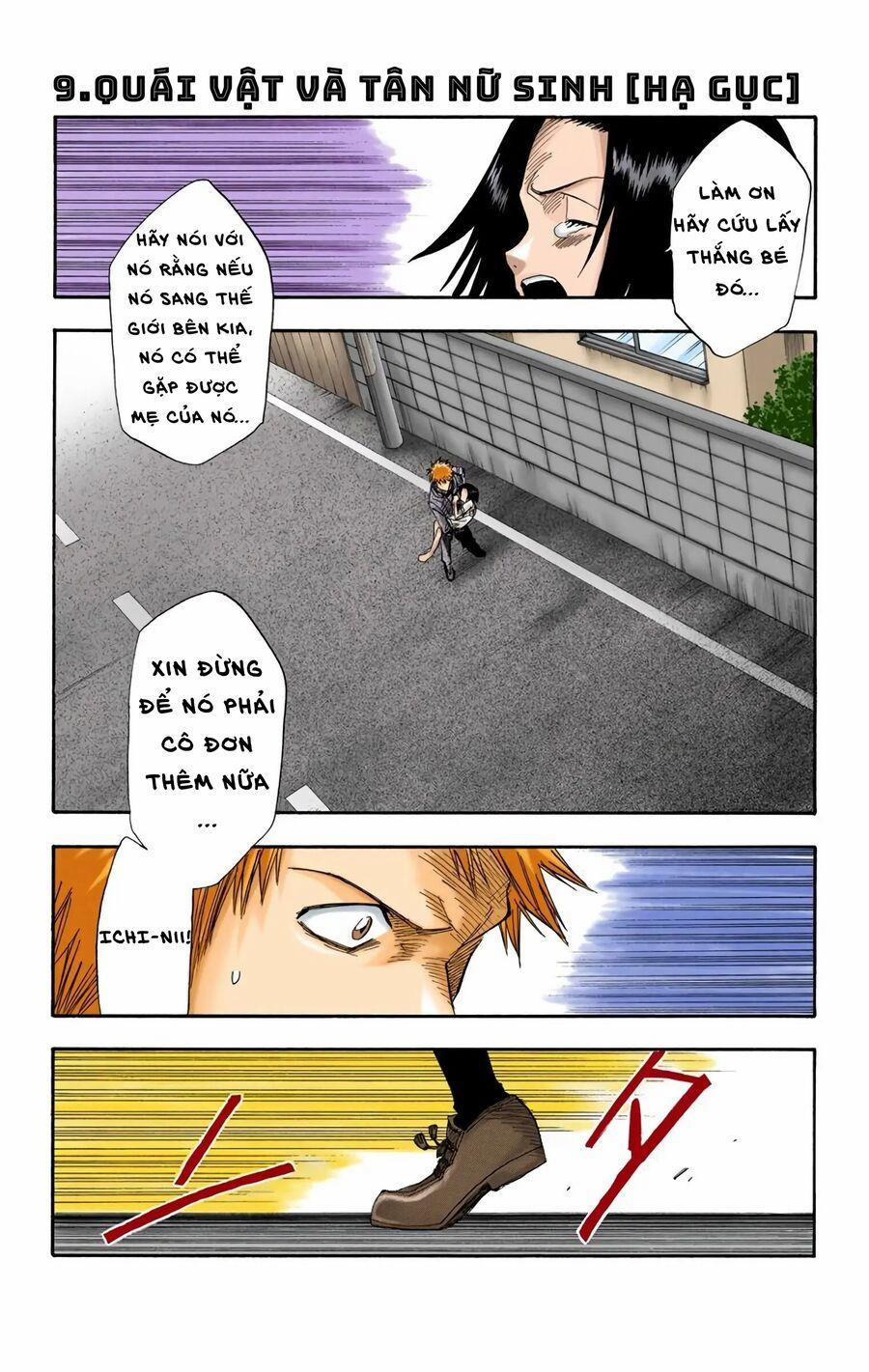 Bleach (Full Color) 9 trang 0