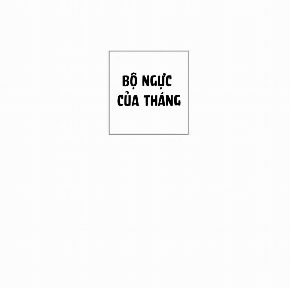 Bộ Ngực Của Tháng 18 trang 0