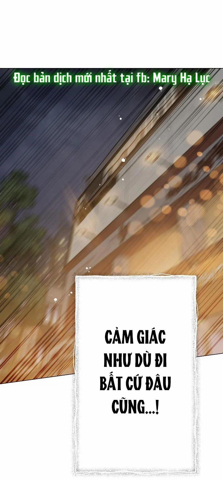Cảm Nhận Từ Những Gì Tôi Biết 41.2 trang 0