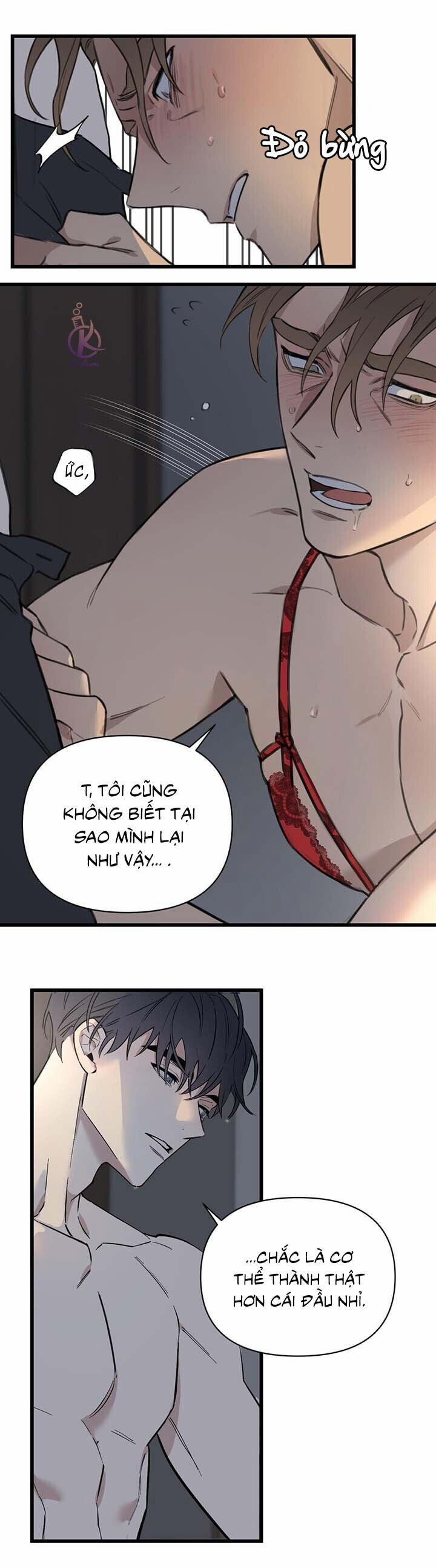 Cậu Chủ X Thư Ký 3.5 trang 0
