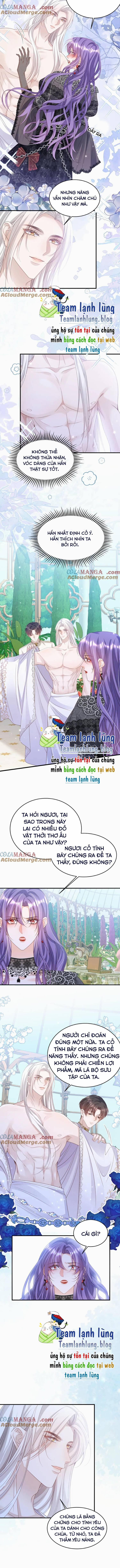 Cầu Hôn Giáo Hoàng 33 trang 0