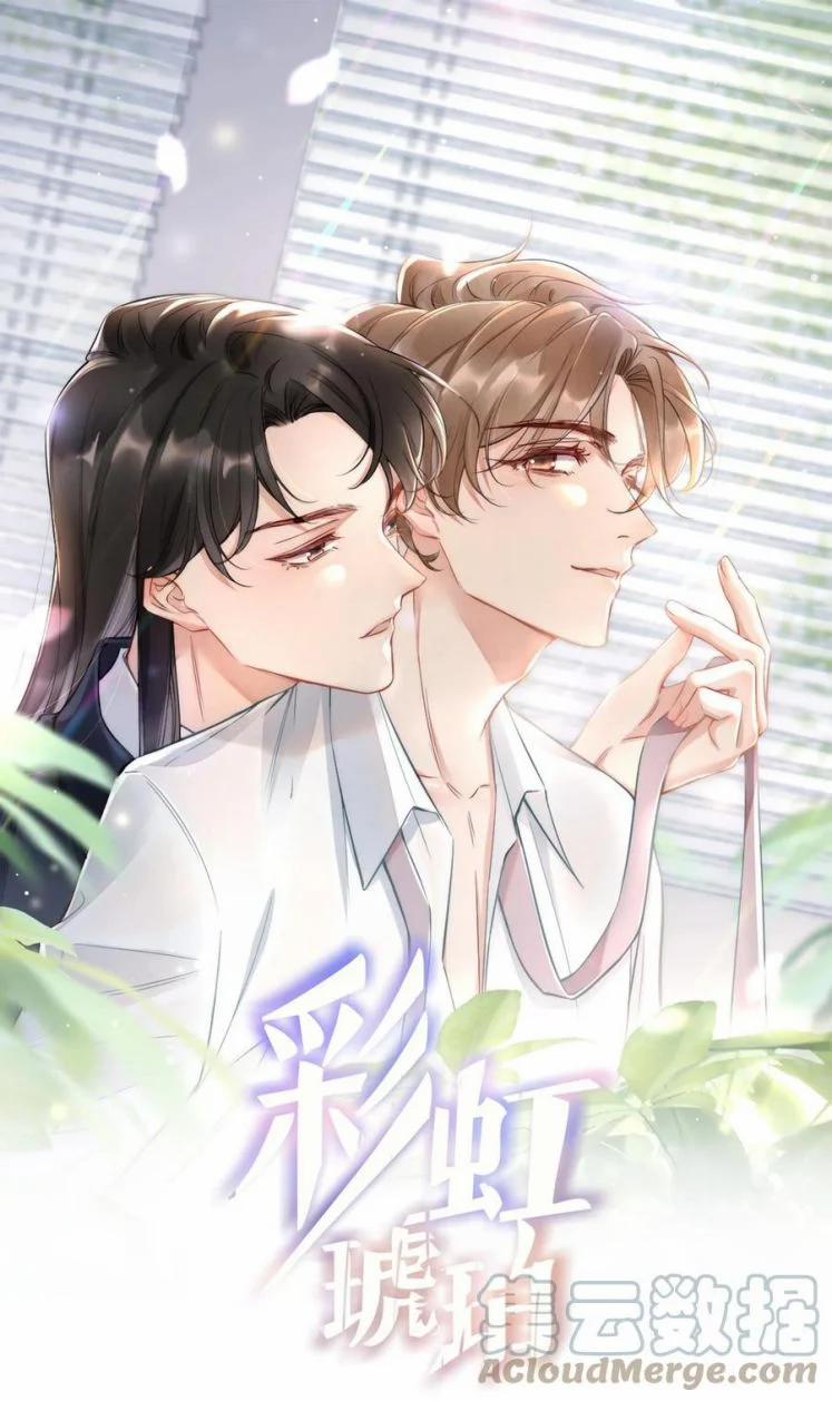 Cầu Vòng Hổ Phách 24 trang 0