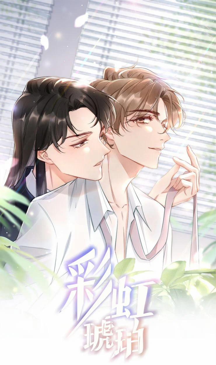 Cầu Vòng Hổ Phách 41 trang 1