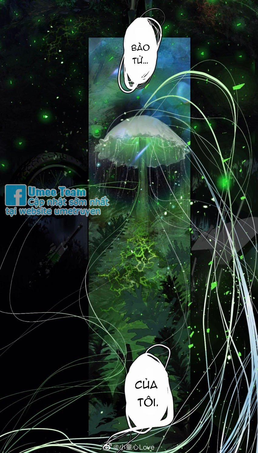 Cây Nấm Nhỏ 0 trang 0