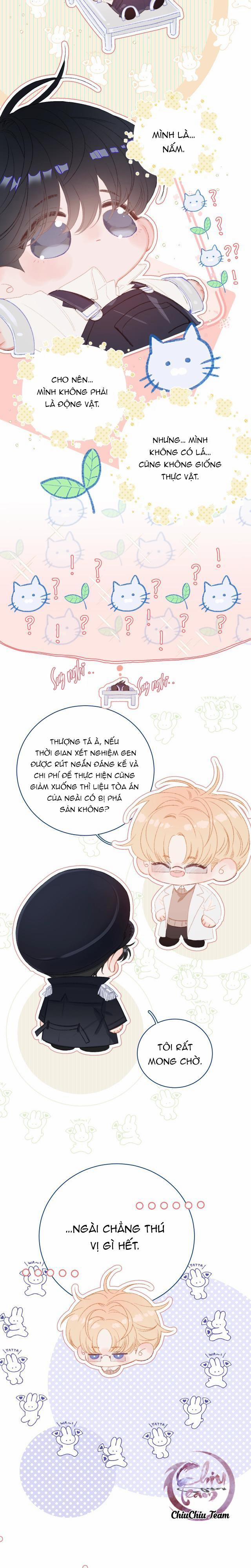 Cây Nấm Nhỏ 52 trang 1