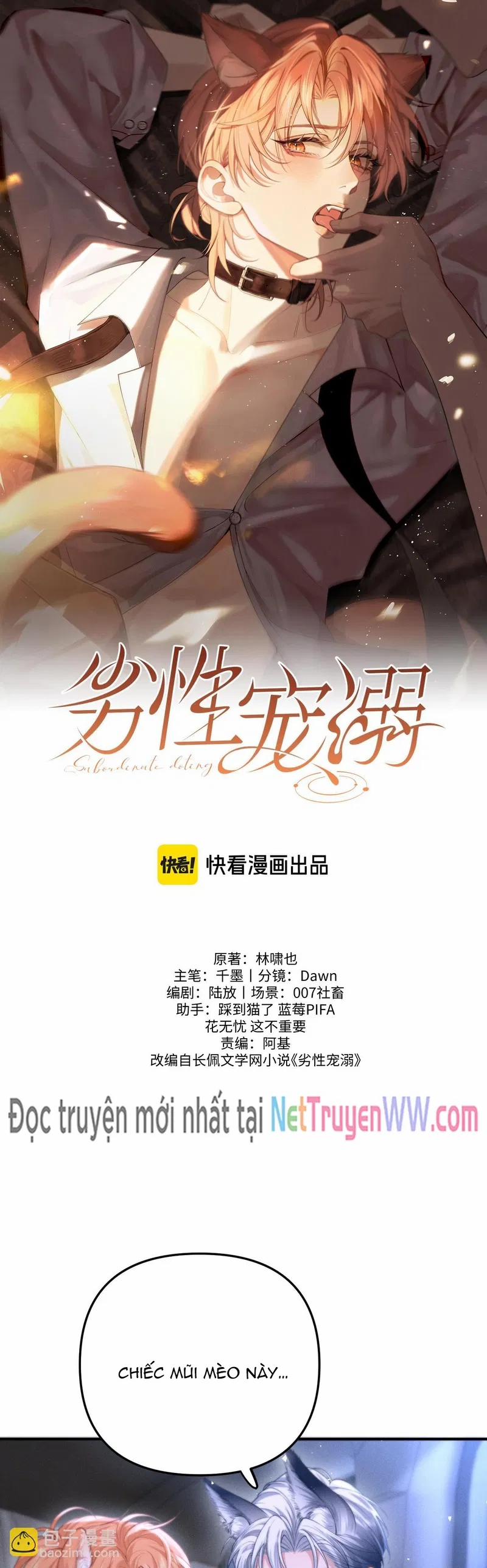 Chiều Hư 12 trang 0