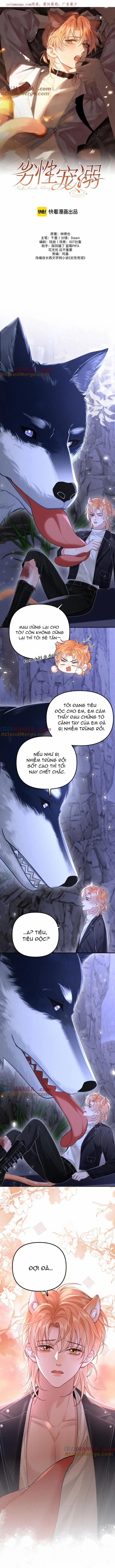 Chiều Hư 18 trang 0