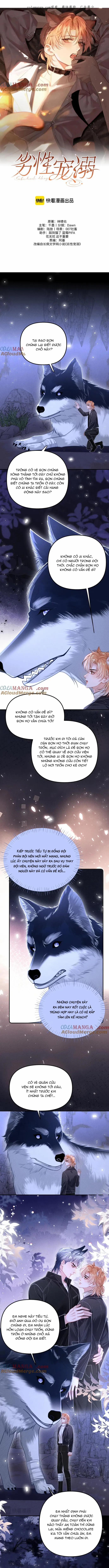 Chiều Hư 19 trang 0