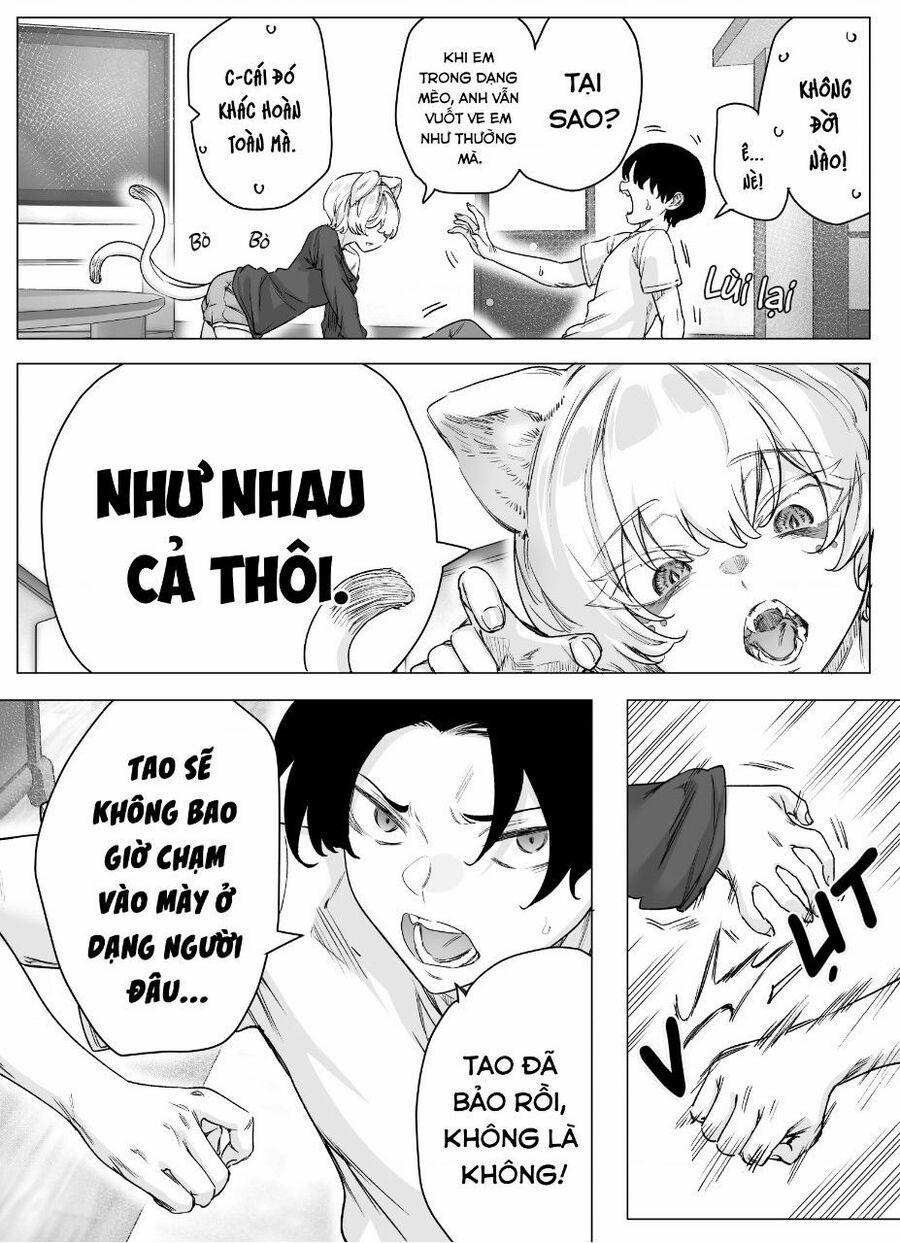 Cho Dù Cổ Không Ăn Lại Nữ Chính, Nhưng Bakeneko-Chan Vẫn Sẽ Cố Gắng 13 trang 1