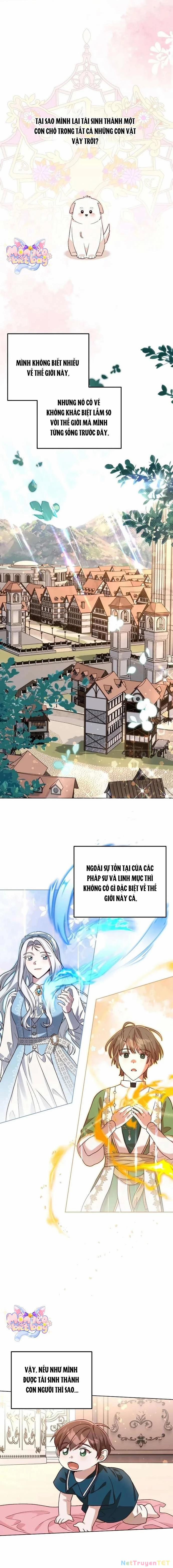 Chú Cún Cưng Của Hoàng Đế 10 trang 1