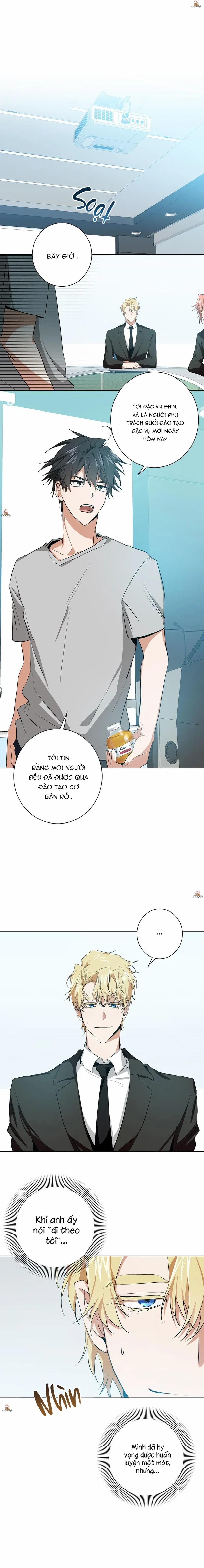 Daze 6 trang 0