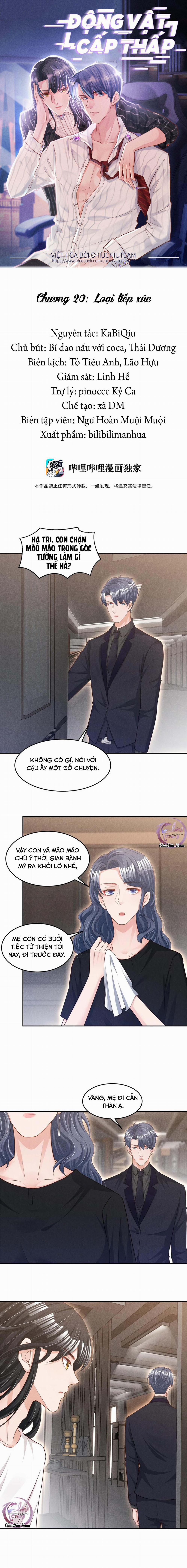 Động Vật Cấp Thấp (END) 20 trang 0