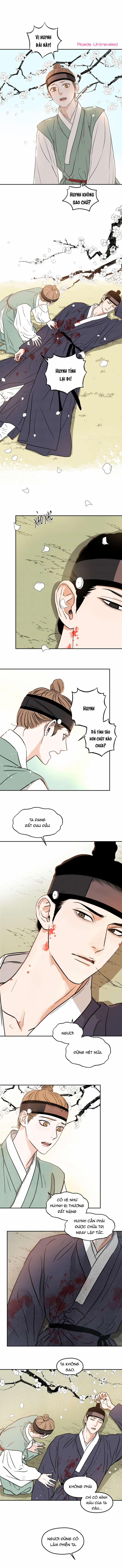 Dưới Tán Hoa Mơ 2 trang 0