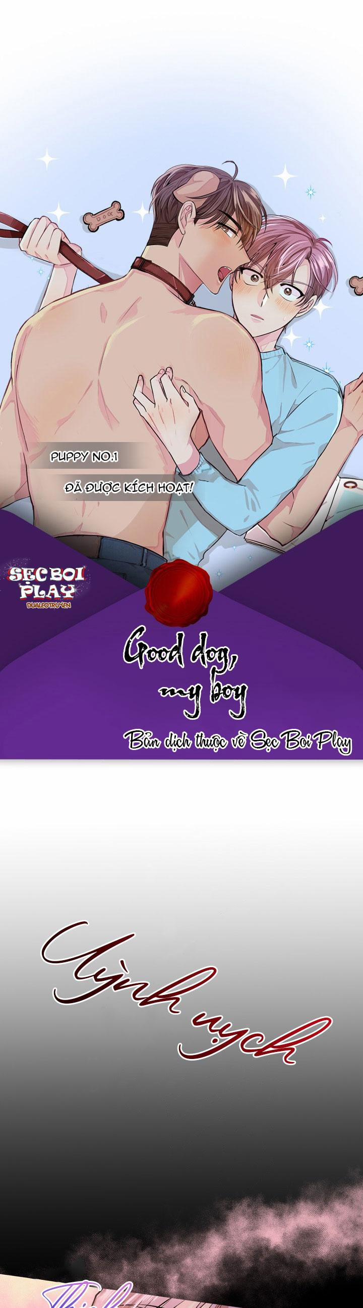 Good Dog , My Boy 6 trang 0