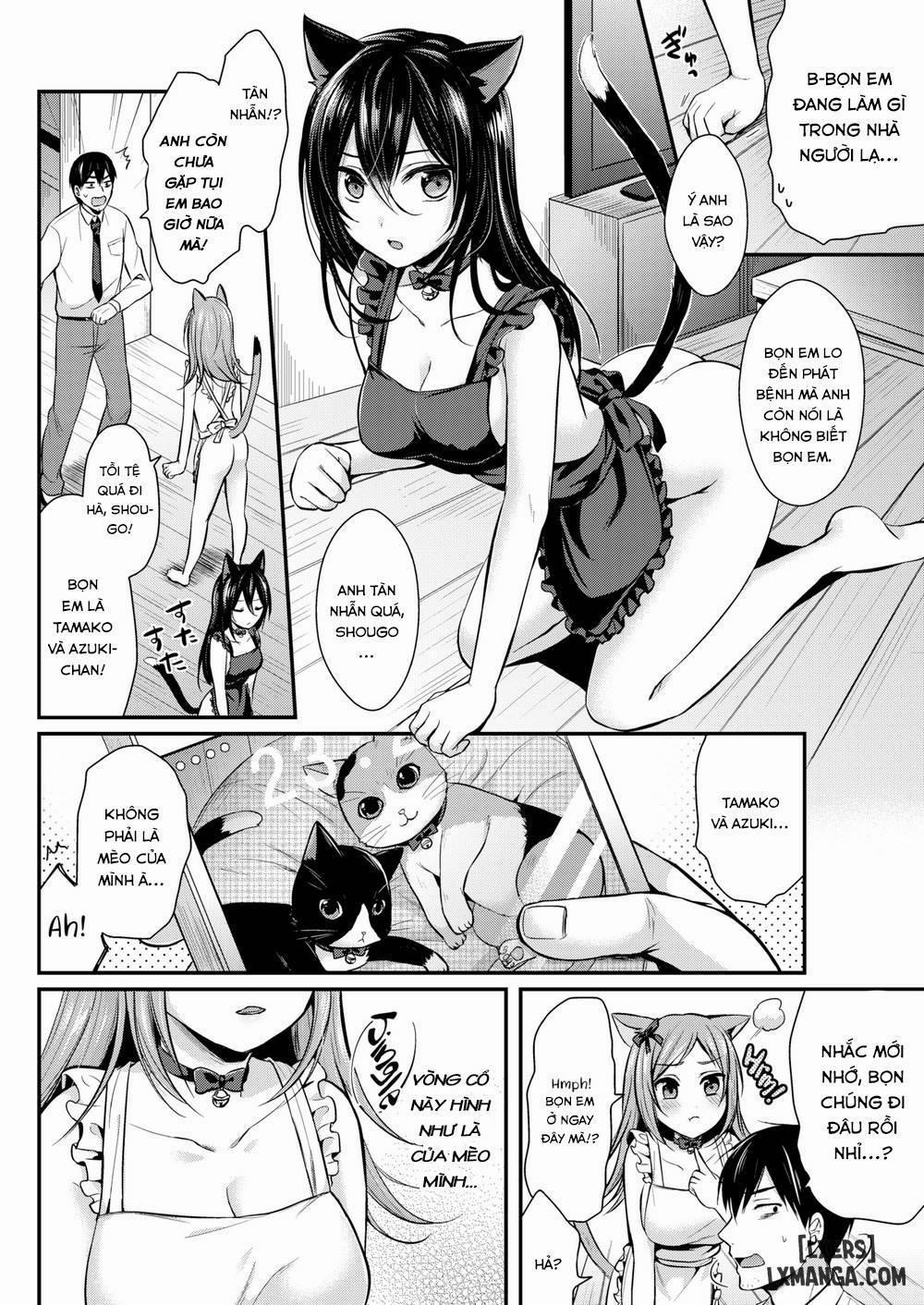 Hajirai Honey 3 trang 1