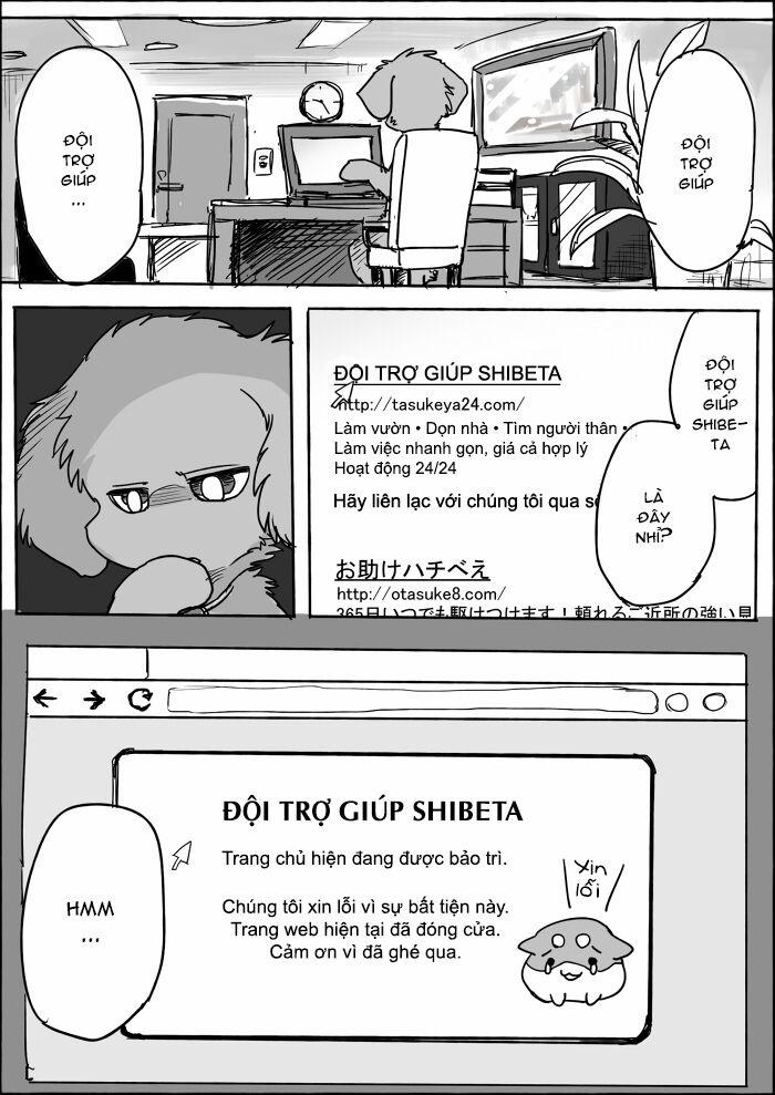 Helper Shibeta 8 trang 1