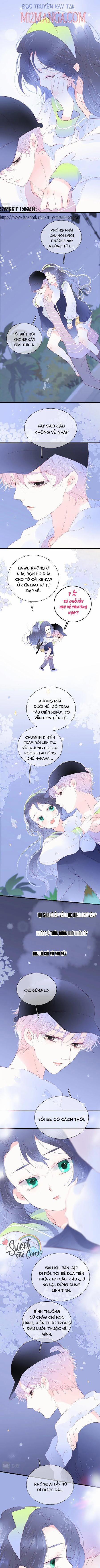 Hoa Bỏ Chạy Với Nhím Rồi 28.2 trang 1
