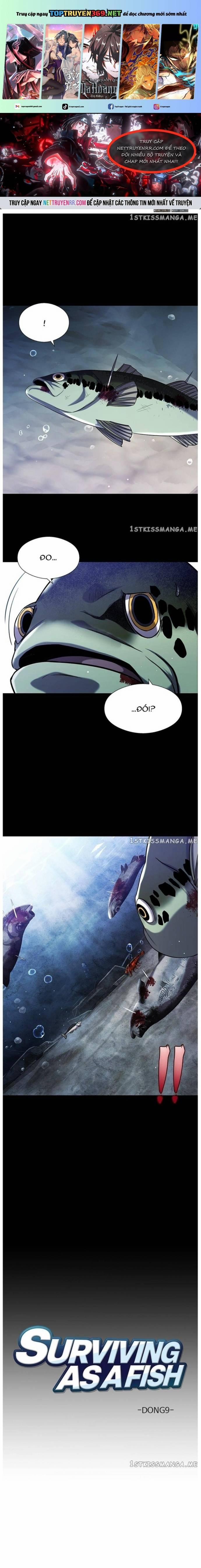 Hoá Thân Thành Cá 33 trang 0