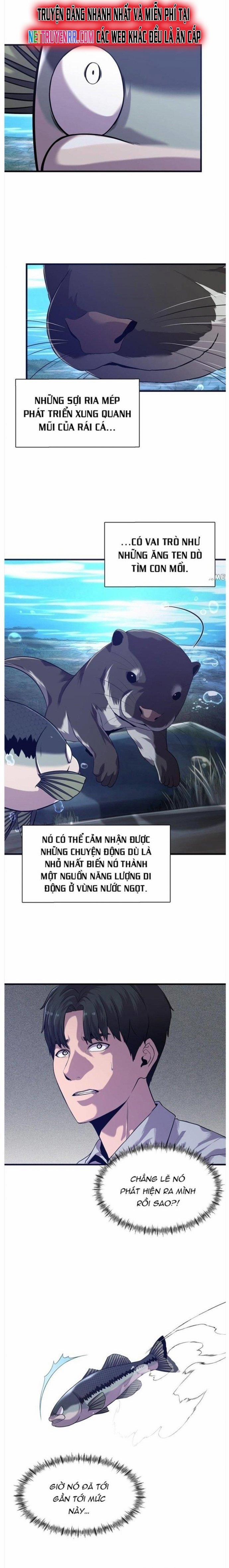 Hoá Thân Thành Cá 50 trang 0