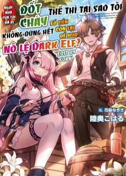 Đọc truyện tranh Ie Ga Moete Jinsei Dou Demo Yoku Natta Kara, Nokotta Nakenashi No Kin De Dark Elf No Dorei O Katta