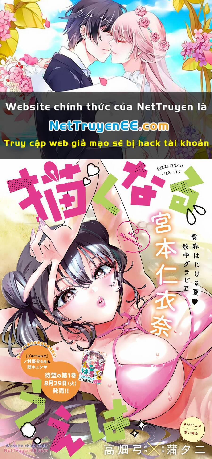 Kakunaru Ue Wa 12 trang 0