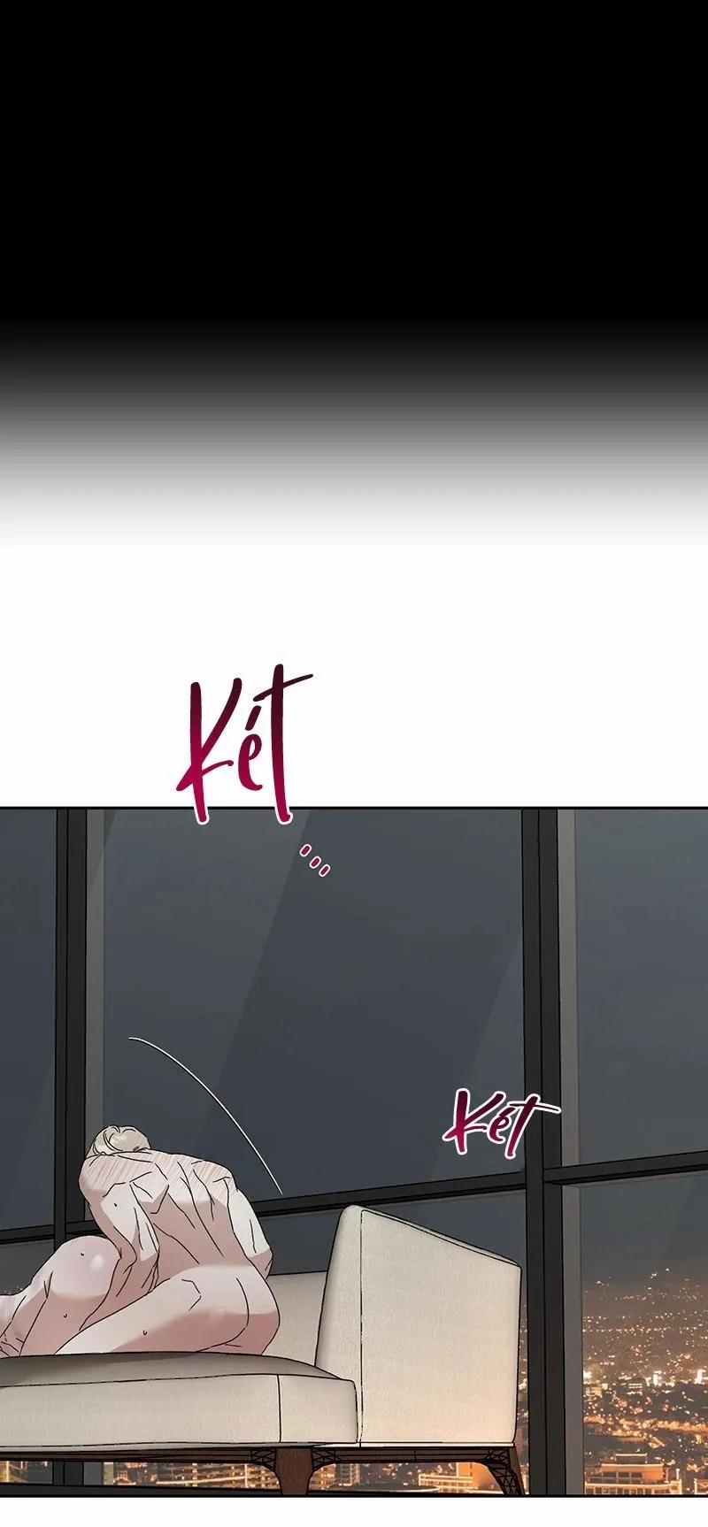 Không Phải Vợ Tôi Mà Là Tôi, Cậu Thấy Sao? 6 trang 0