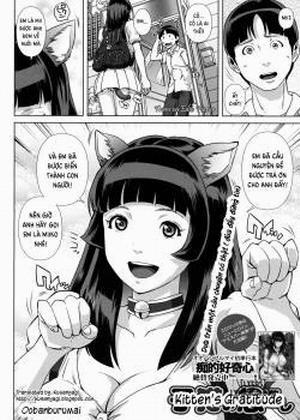 Đọc truyện tranh Kitten's Gratitude