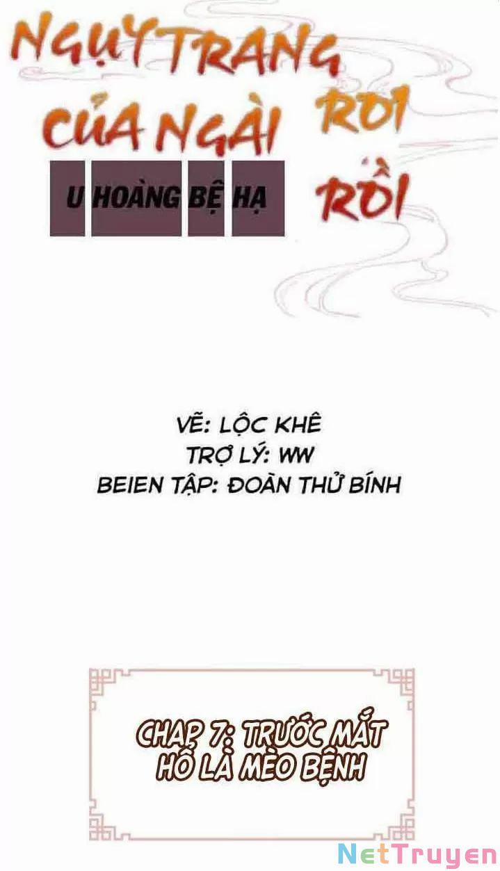 Lại Bị Bệnh Chiều Chuộng Quấn Lấy 0 Trước Mắt Hổ Là Mèo Bệnh trang 1