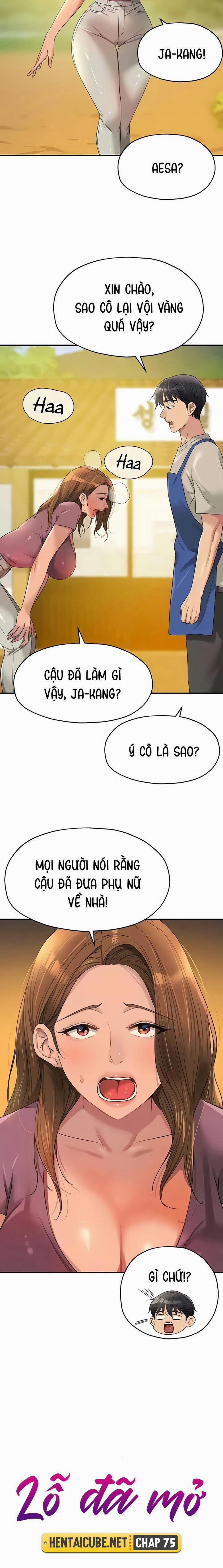Lỗ đã mở 75 trang 1