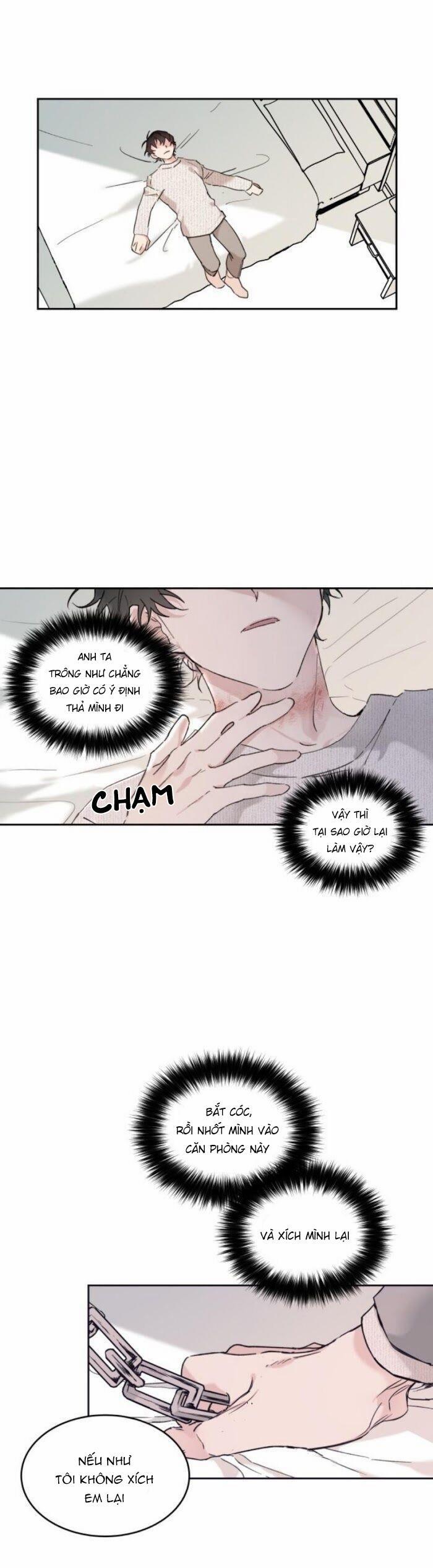 May Belongs To Me 17 trang 0