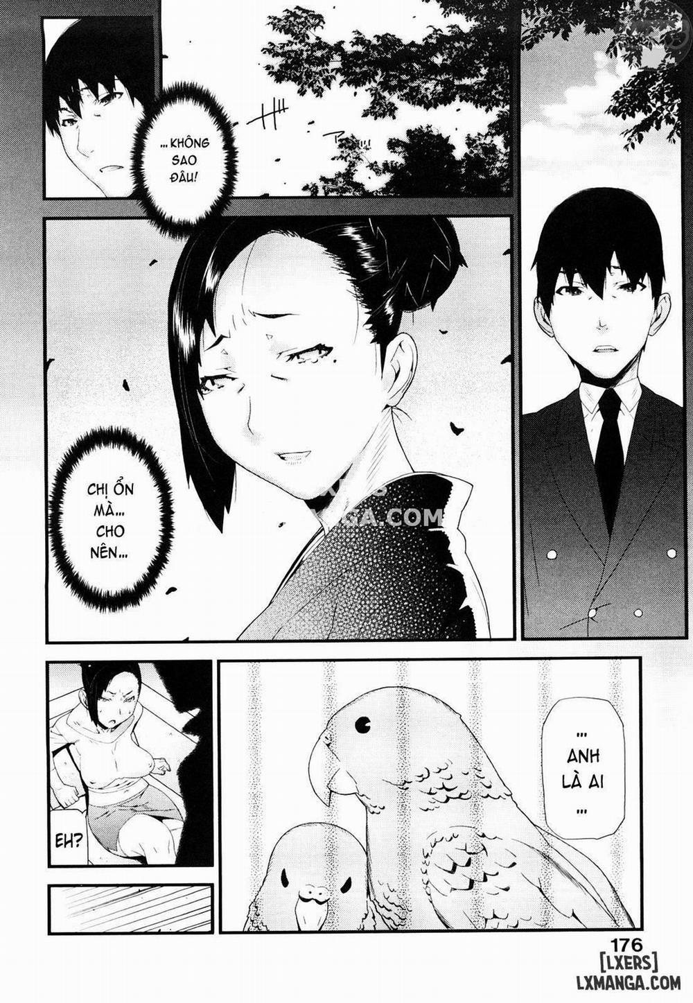 Mitsuiro no Kousokuihan 11 trang 6
