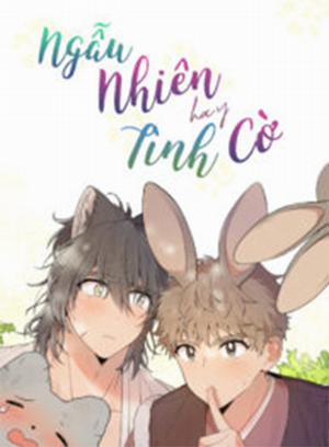 Đọc truyện tranh Ngẫu Nhiên Hay Tình Cờ