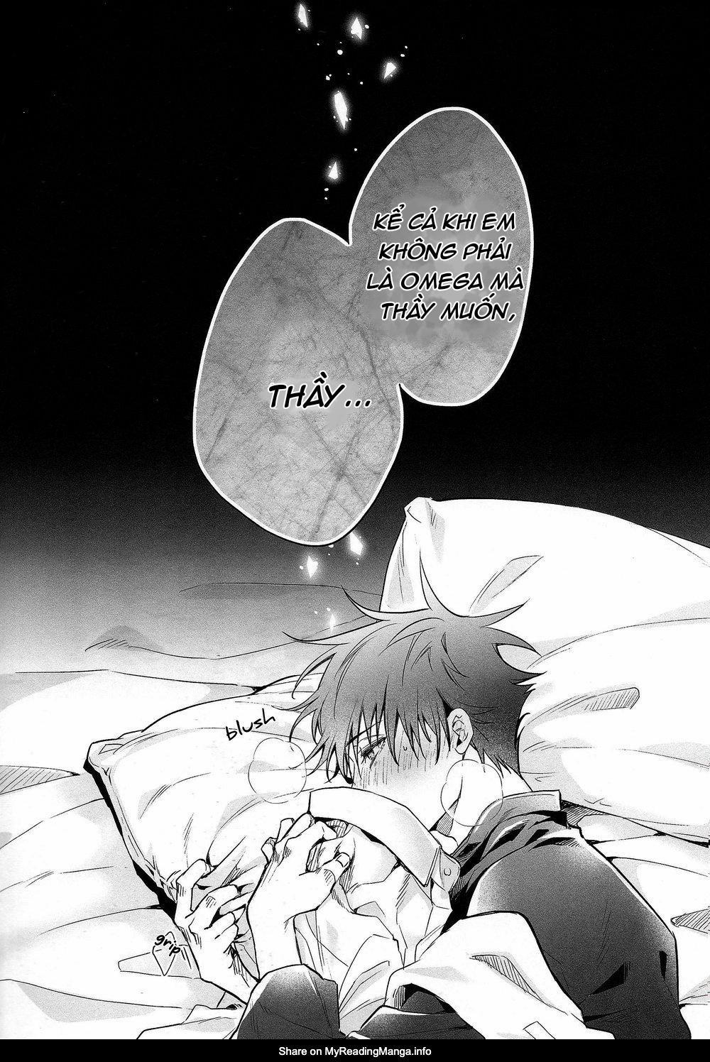 Ô TÊ PÊ HỎNY 2 trang 0