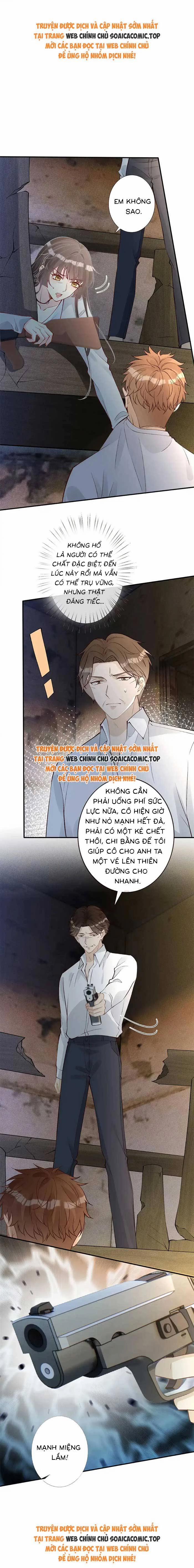 Ôm Khẩn Tiểu Mã Giáp Của Tôi 320 trang 0