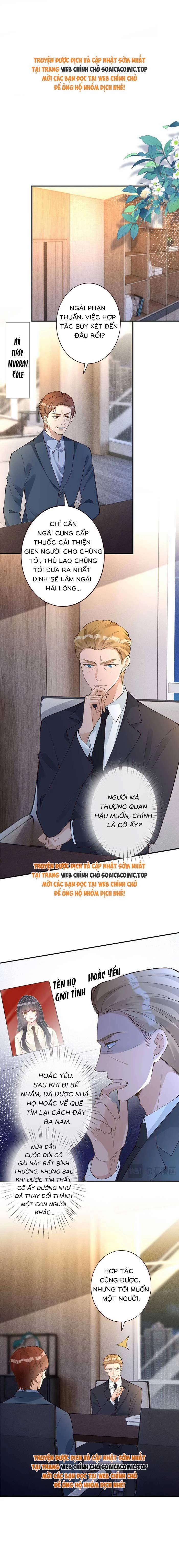 Ôm Khẩn Tiểu Mã Giáp Của Tôi 324 trang 0