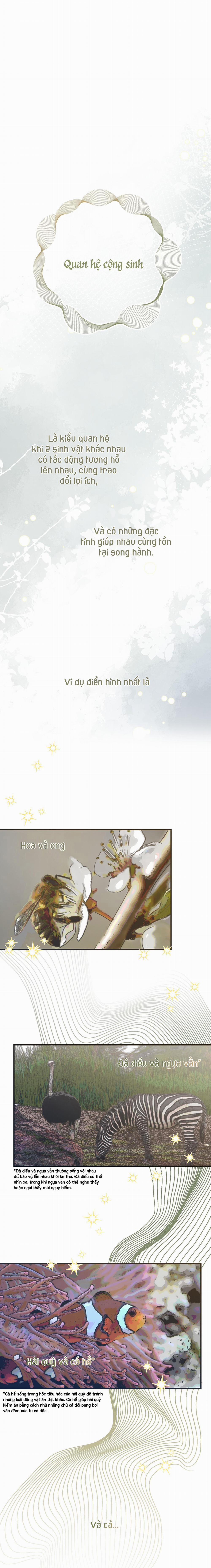 QUAN HỆ CỘNG SINH CỦA MẶT TRĂNG VÀ MẶT TRỜI 1 trang 0