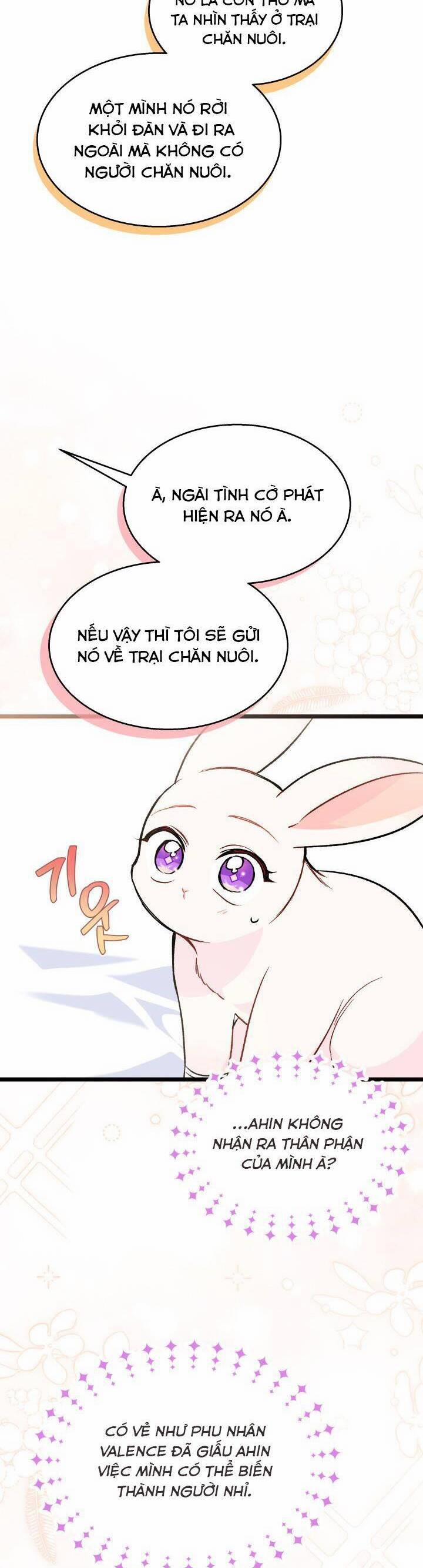 Quan Hệ Cộng Sinh Giữa Hắc Báo Và Bạch Thỏ 128.2 trang 1