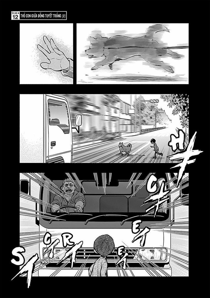 Radiation House 12 trang 1